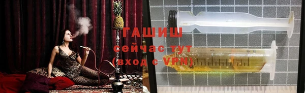 гашик Арсеньев
