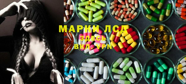гашик Арсеньев
