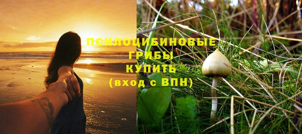 гашик Арсеньев