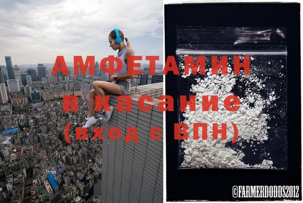 гашик Арсеньев